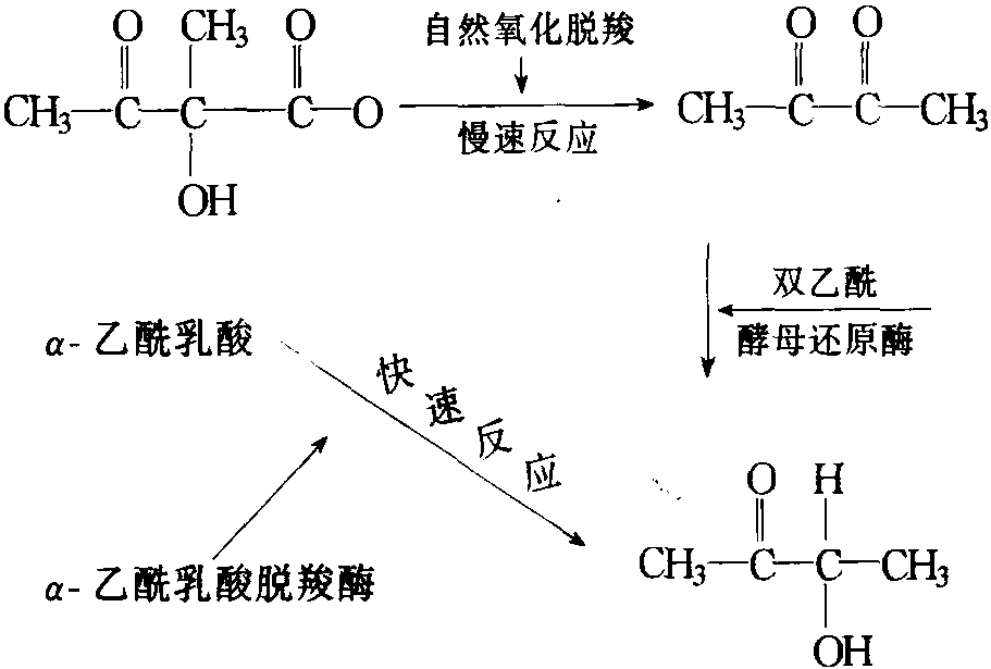 第三節(jié) 酶制劑的品種及主要性能介紹